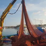 Paste&cannola